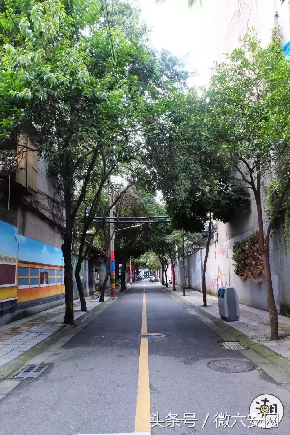 一条不足300米的林荫小巷，成为“小酒馆”后玉林的另一打卡地！