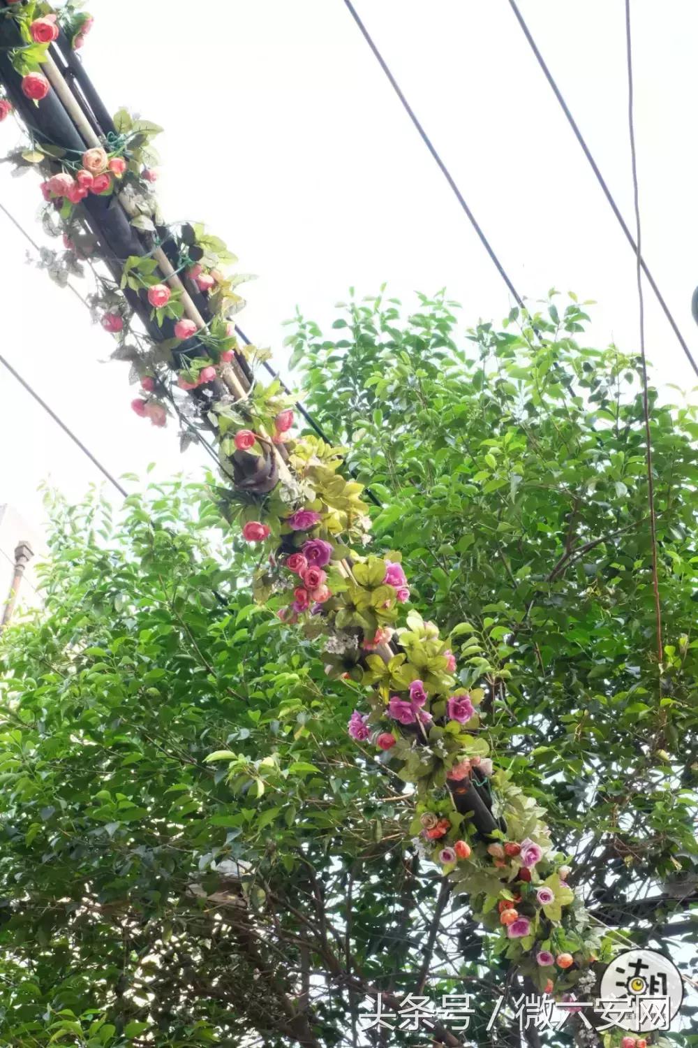 一条不足300米的林荫小巷，成为“小酒馆”后玉林的另一打卡地！