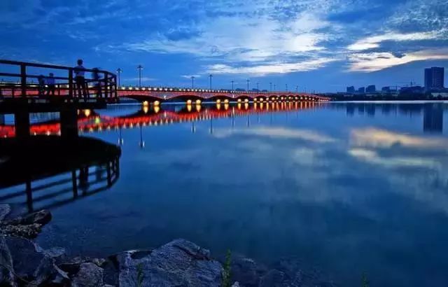 七夕撒狗粮的浪漫惊喜,七夕撒狗粮