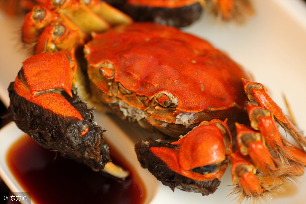 阳澄湖大闸蟹价格表今年螃蟹价格,阳澄湖大闸蟹什么时候上市及价格