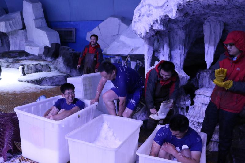 极地海洋世界青岛企鹅互动,青岛极地海洋公园企鹅接触