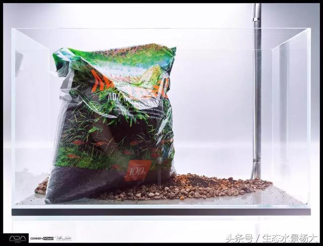 ada草缸造景什么意思,ada造景大赛60缸