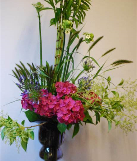 你还记得童年的狗尾草吗,狗尾草小时候