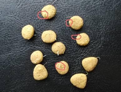 宠物行业狗粮内幕,狗粮内幕