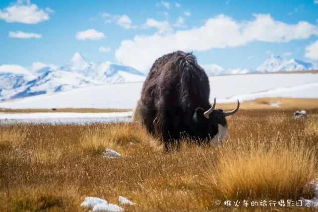 相机里隐藏的6个实用小功能,科普贴相机上这些功能你都明白吗