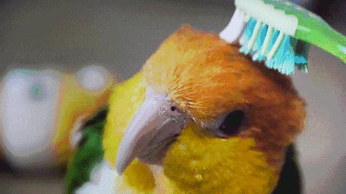 正确洗头几天洗一次不容易脱发,多久洗一次头对头发最好