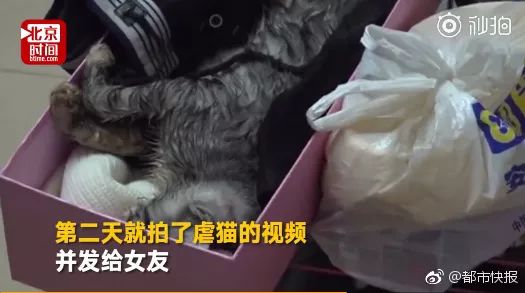 8.13日｜新早读来了！男子*杀虐**女友小猫逼其复合，当晚被人肉遭暴打至骨折！