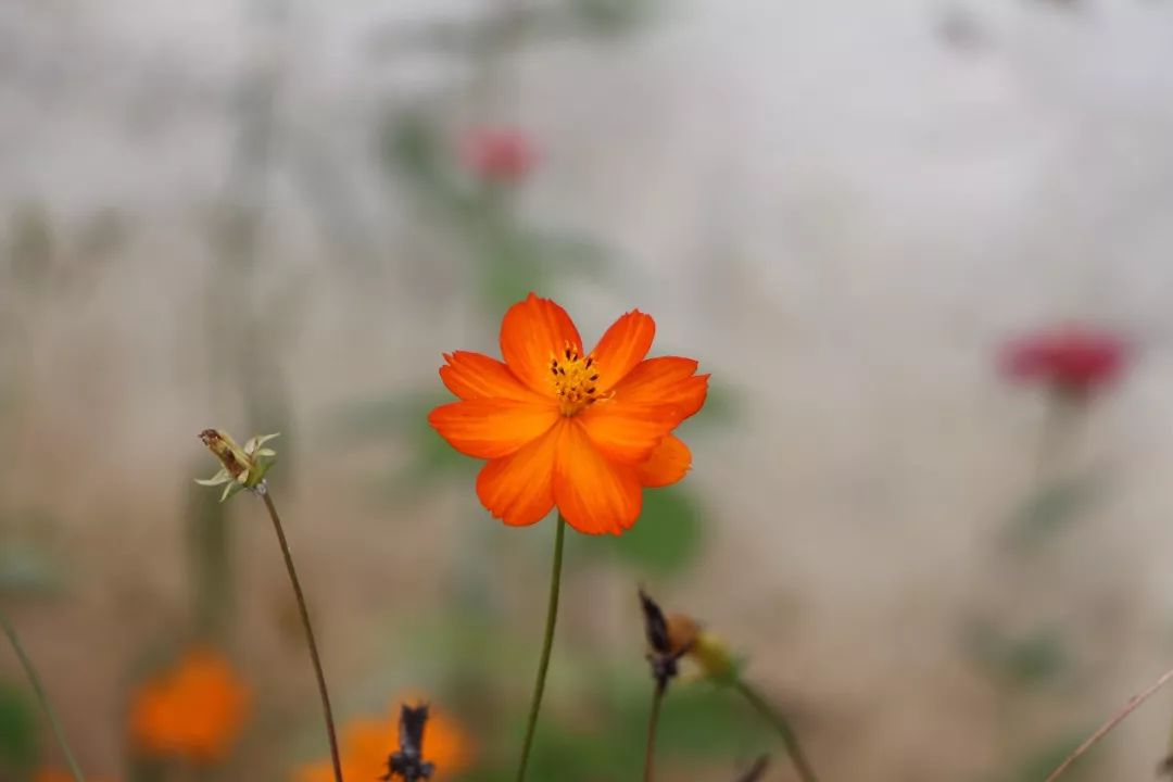 属于你的永远都在深度好文,从一无所有到现在的心酸短句