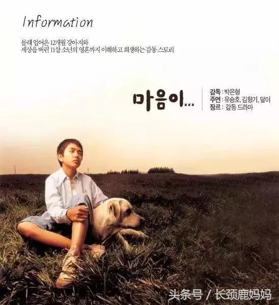 儿童动画电影6-12岁励志免费观看,儿童经典电影推荐大片9.0以上评分