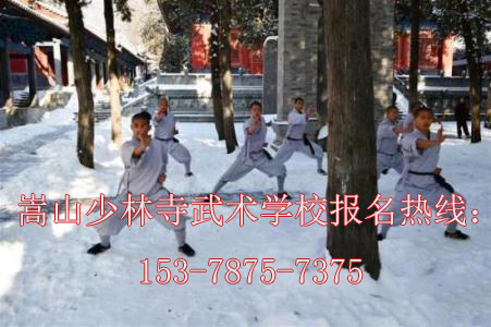 少林寺武术表演收费吗,少林寺少儿班收费标准