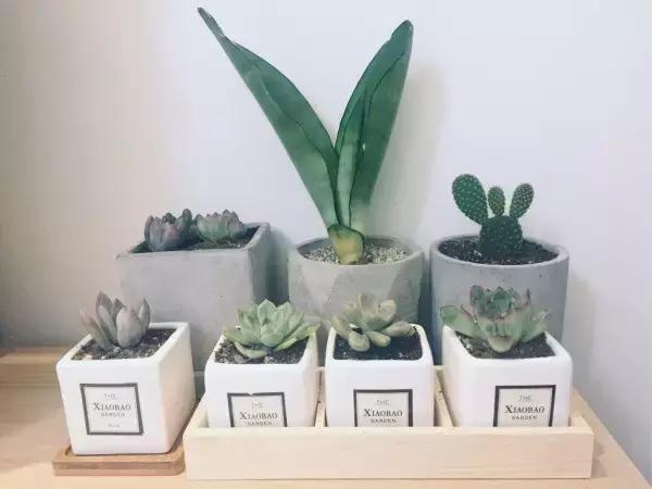 小两口把宜家风装进95㎡新家，美的像一幅画！绝了