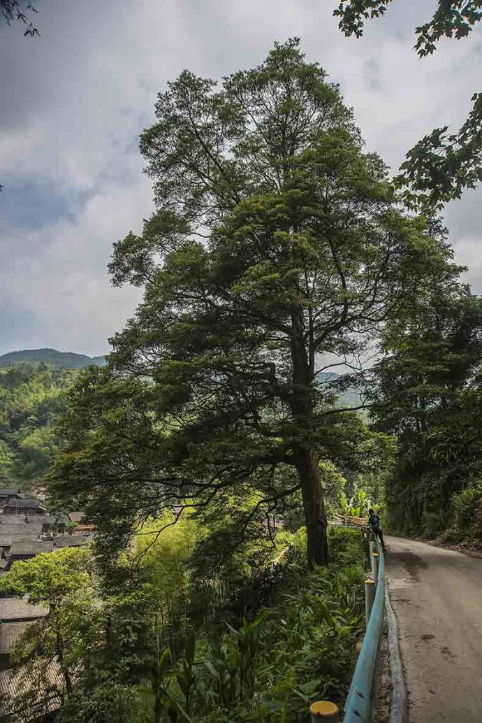 猎奇黔东南之二苗岭风情,猎奇天下无双