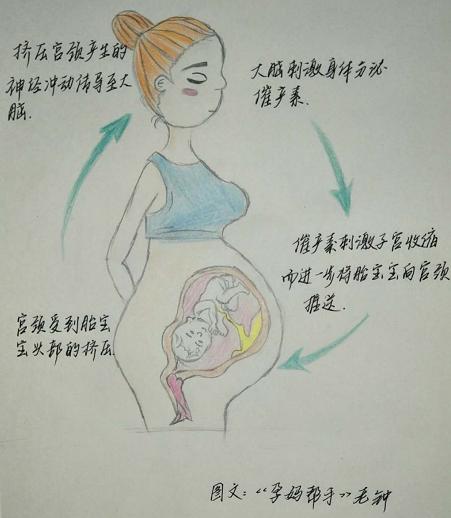 顺产三个简单动作,顺产的过程和技巧