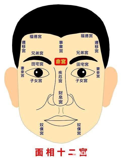 面相十二宫代表身体部位,面相十二宫吉凶图详解