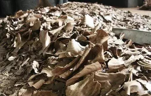 花生麸与黄豆饼哪个好,菜籽饼与花生麸哪种好