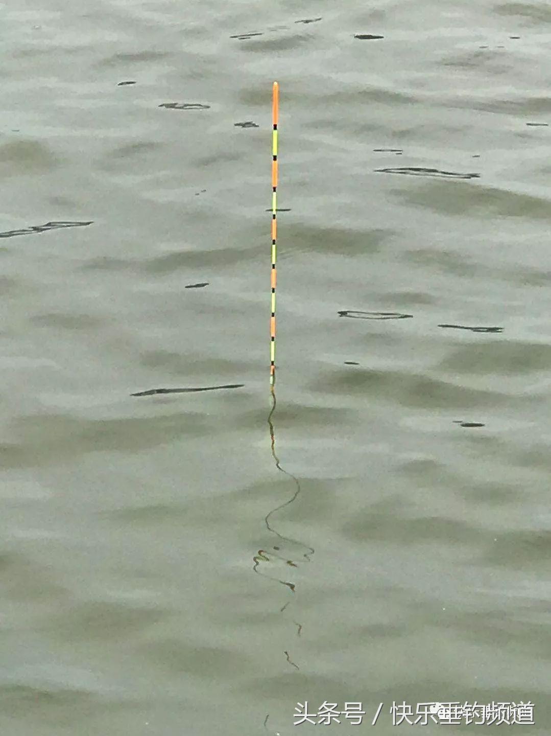 河蟹闹窝不要慌，用对方法可抢大鱼！