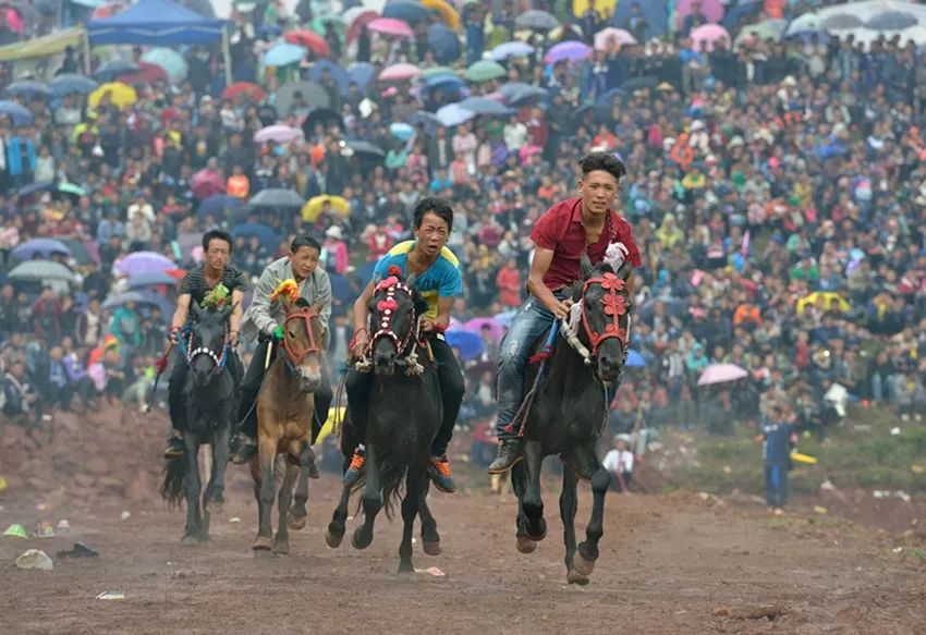 月赛冠军奖励,首届全球华人旅拍大赛