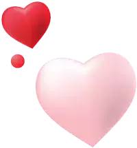 白塔初中生敬老院公益活动,学校走进敬老院重阳节献爱心活动