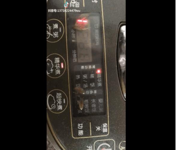 电饭锅如何使用省电,电饭锅用久了耗电快怎么办