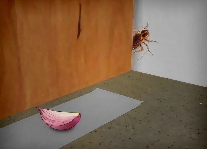 电饭锅如何使用省电,电饭锅用久了耗电快怎么办