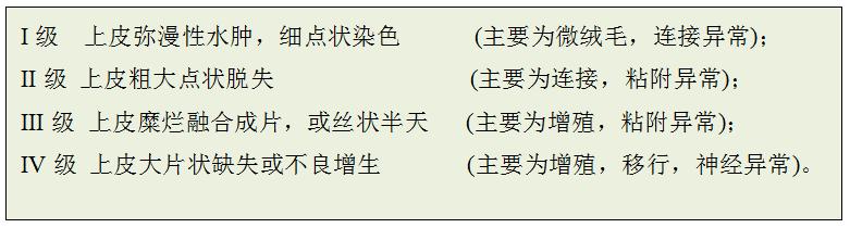 角膜上皮细胞损伤多久能恢复,治疗角膜上皮细胞损伤全国专家