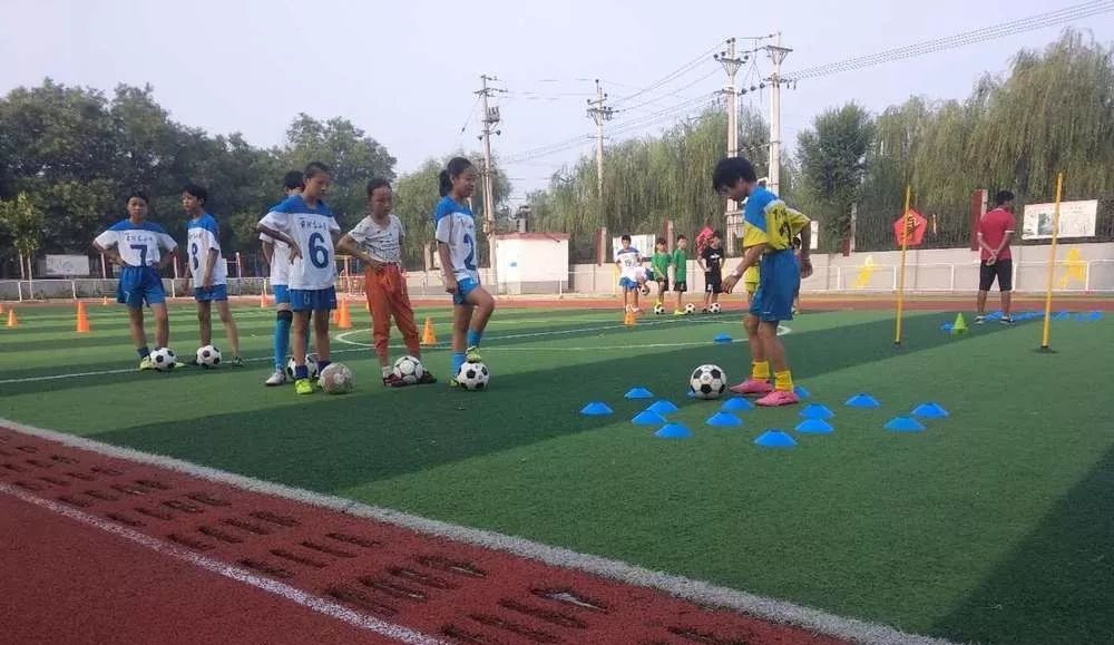 和平精英杯赛事,和平精英和平杯总决赛