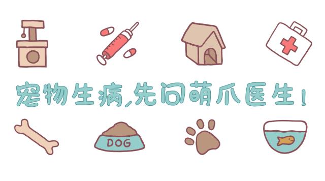 遛猫的人都被难哭了，遛狗的人……怎么也哭了？！