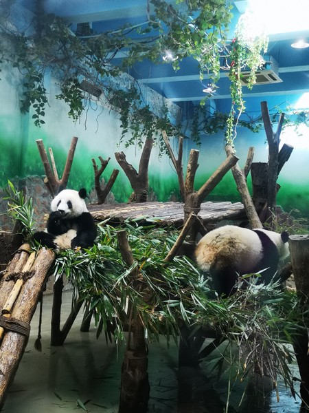 前往泸沽湖自驾游,往泸沽湖出发