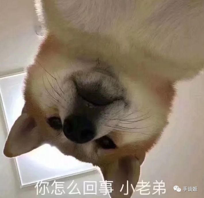 “这届玩家不行”