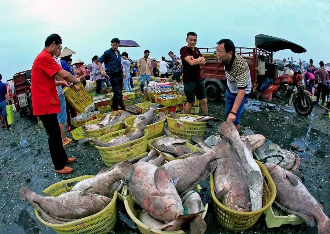 防城港吃海鲜贵不贵,防城港吃海鲜最便宜