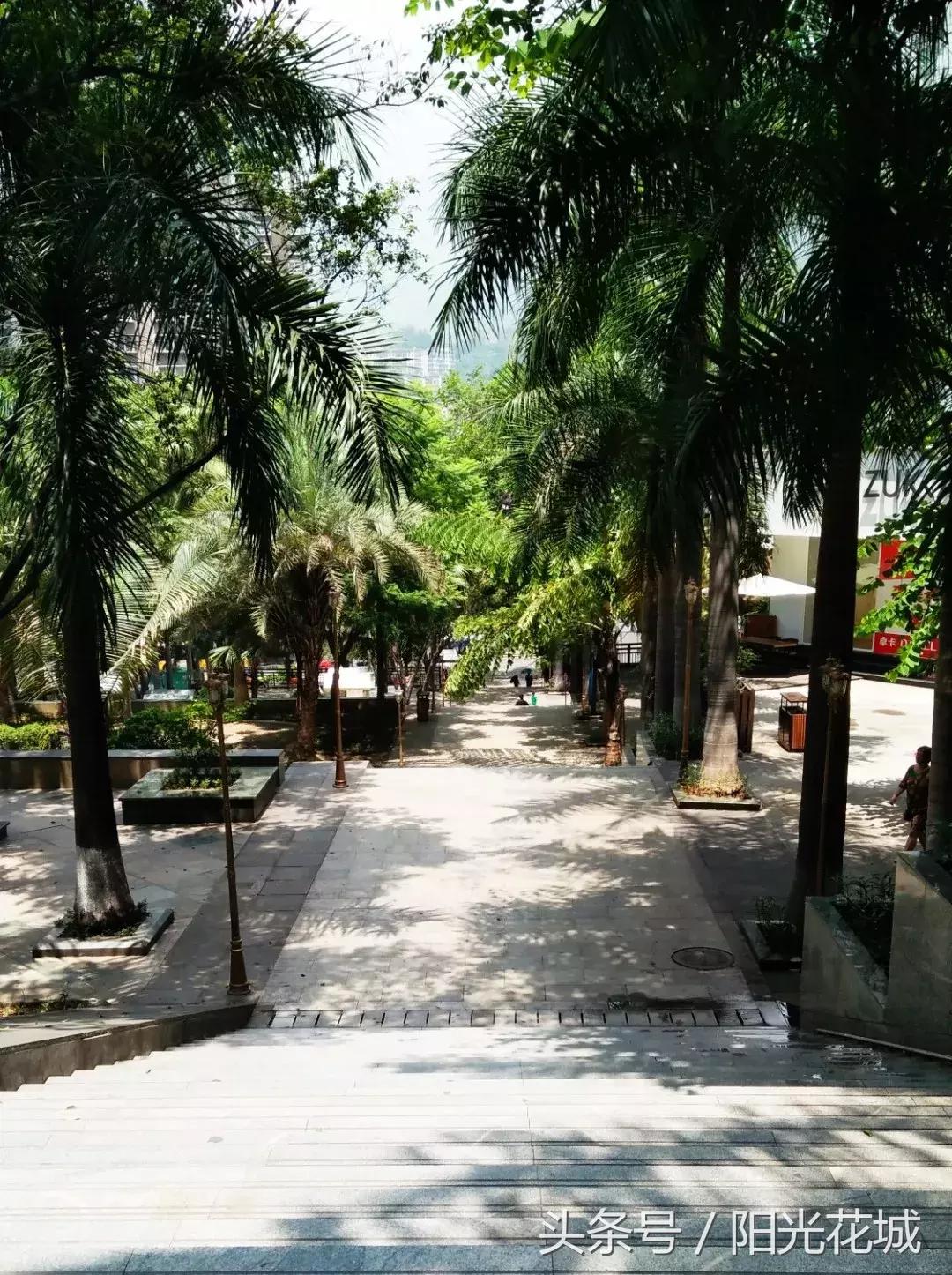 攀枝花的路有多陡,攀枝花最陡的坡