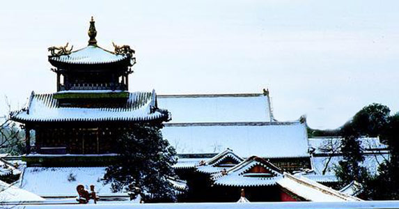 父母去世我被卖给富豪做保姆，被百般欺凌我设下复仇圈套