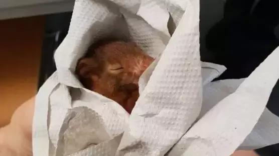 三分钟法治新闻全知道最新,53岁民警落水瞬间