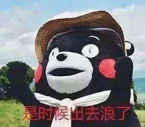 无套路旅游,无套路观看全集