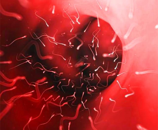 只有正常的精子才能和卵子结合吗,精子与卵子结合后精子还存在吗