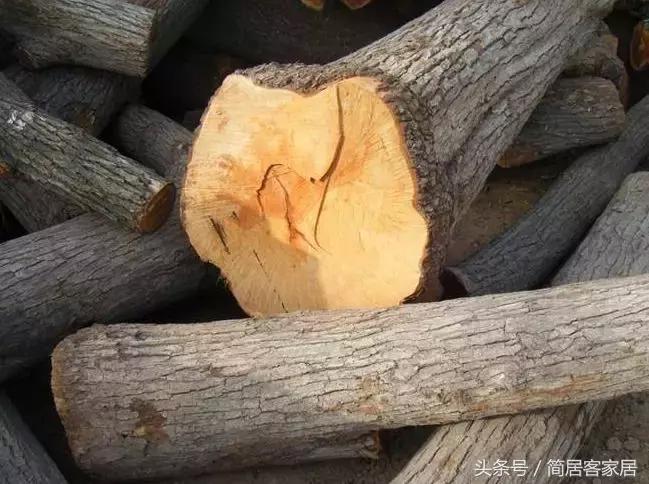 柴木是什么木质,你知道什么叫木匠吗