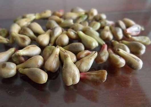 吃葡萄皮和葡萄籽对人有什么好处,吃葡萄皮和葡萄籽好吗