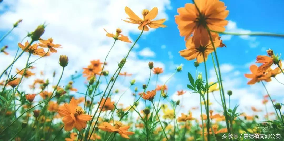 这座高铁直达的小县城，藏着圣托里尼的浪漫，济州岛的清新！