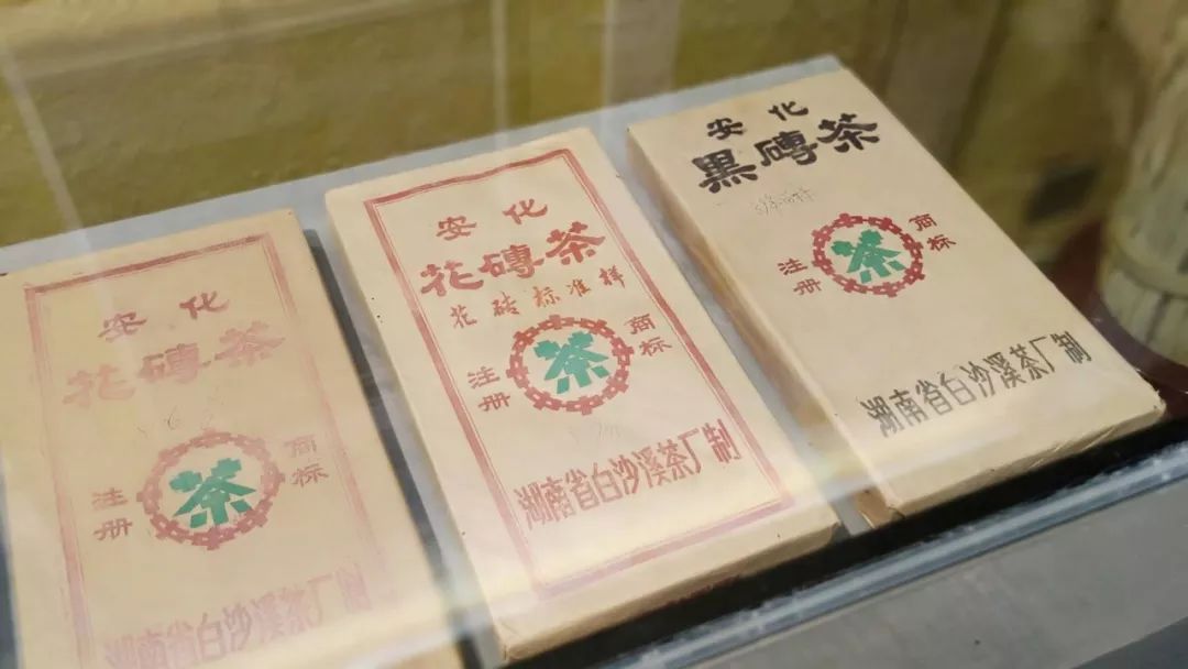 茶有金花还能喝吗,茶里的金花是怎么回事