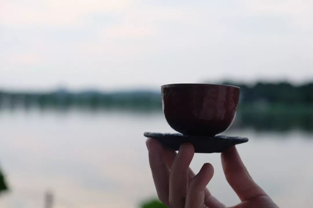 茶有金花还能喝吗,茶里的金花是怎么回事