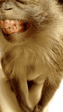 如何化妆能让圆脸变小？再也不用美图修脸了！｜技巧