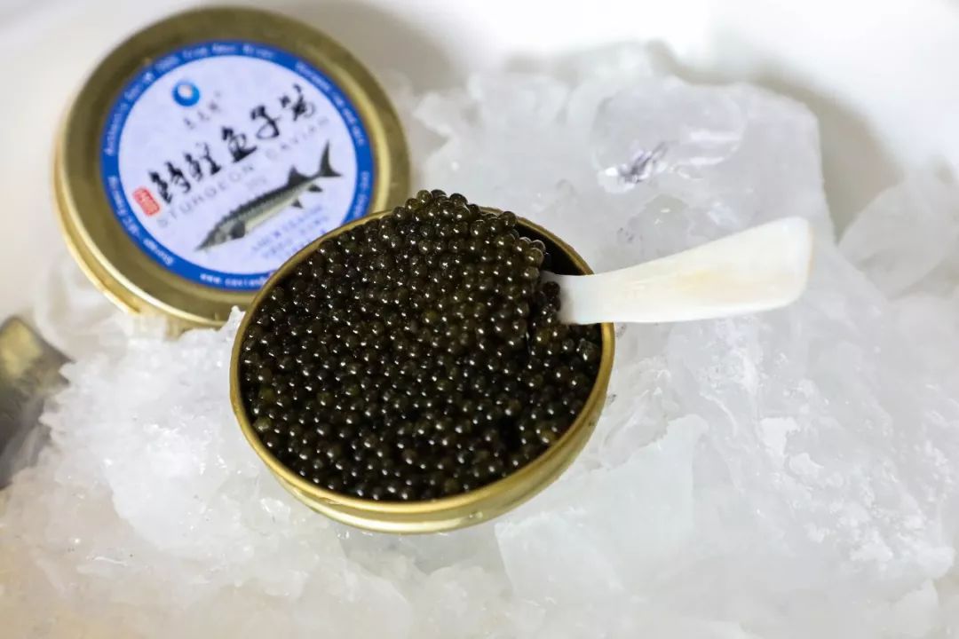 看日出、逗黑熊……从抚远出发穿越“两极”