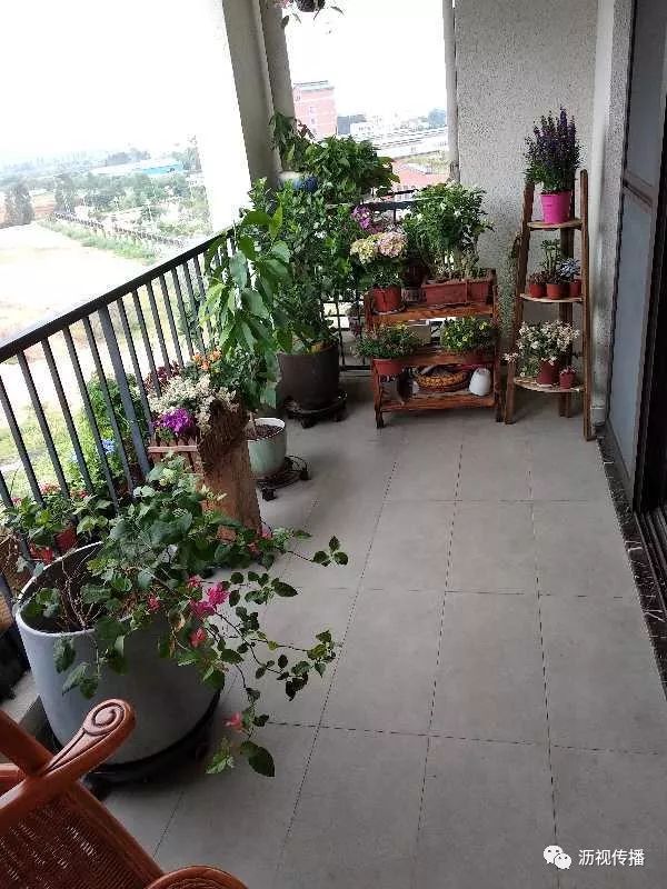 最美庭院评选,寻找最漂亮的花园小院