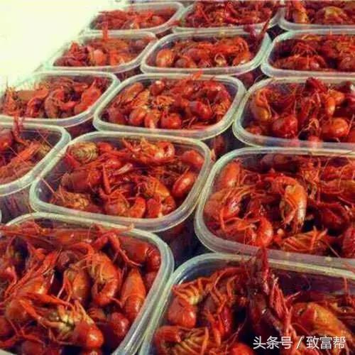 外卖小龙虾的利润,小龙虾69.9元5斤附近外卖