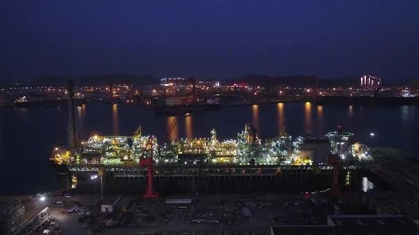 辽宁海边惊现巨型海兽,青岛发现的巨兽