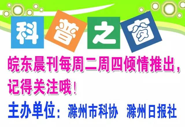 减肥不用运动的方法学生,不用运动的科学减肥