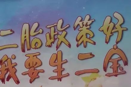 计划生育和鼓励三胎,鼓励生育的原因