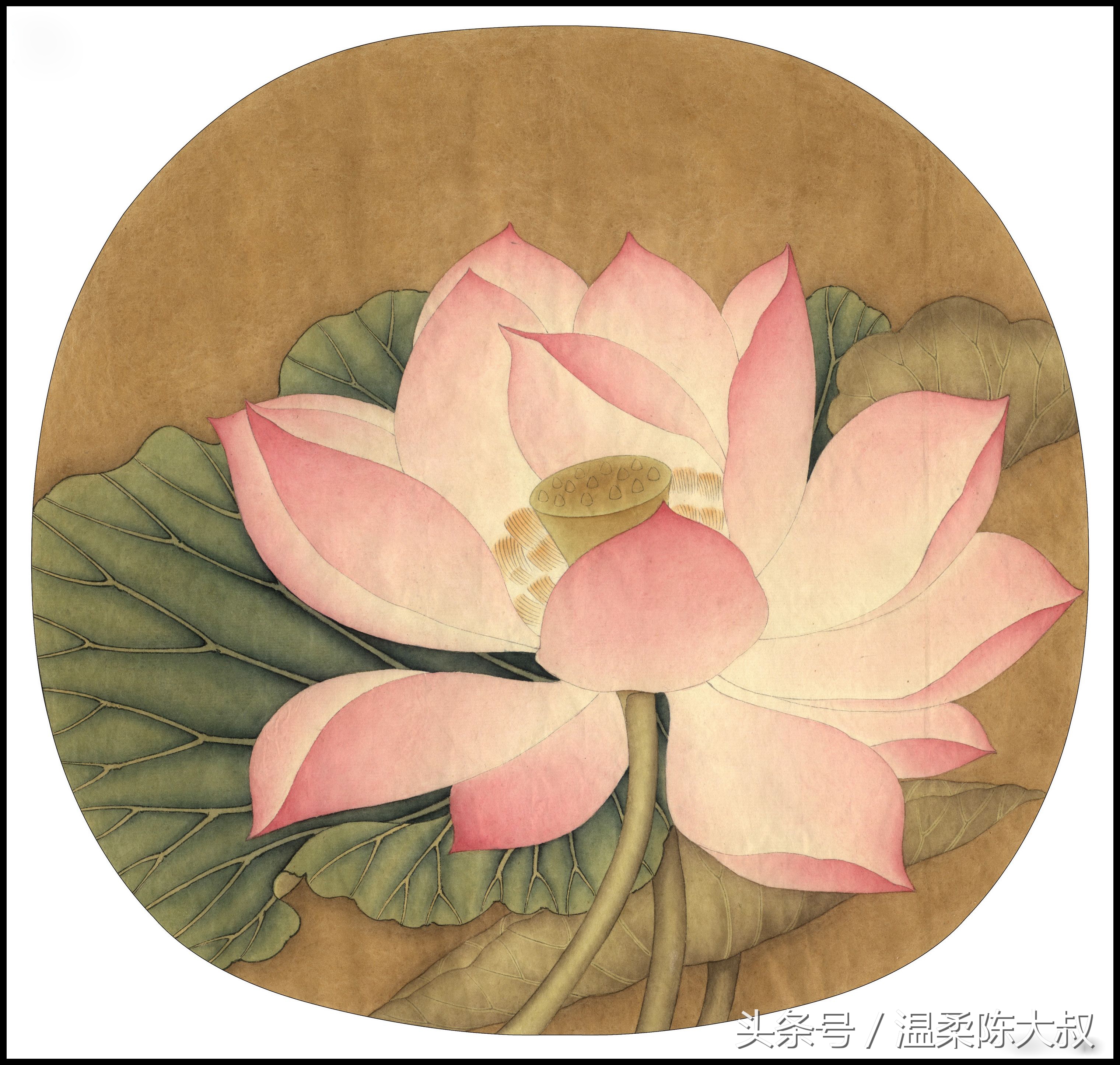 宋画出水芙蓉工笔画作画步骤,出水芙蓉图片大全大图工笔花鸟画