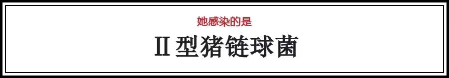 男子带伤切生猪肉感染病菌住进ICU,猪肉感染病菌