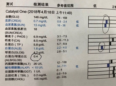 猫传腹441隔一天注射会影响药效吗,猫传腹除了用441还需要其他药吗